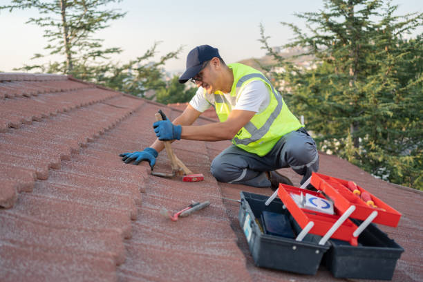 Best Roof Gutter Cleaning  in Flomaton, AL