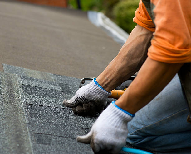 Best Roof Gutter Cleaning  in Flomaton, AL