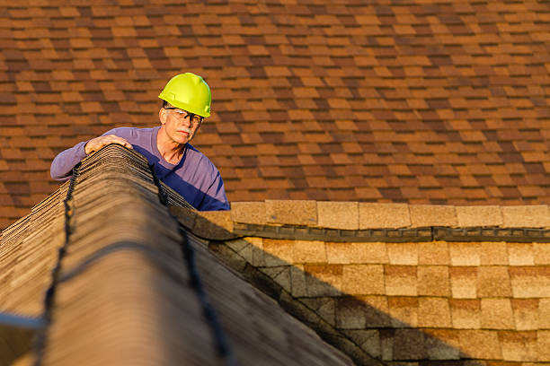 Best Residential Roof Replacement  in Flomaton, AL