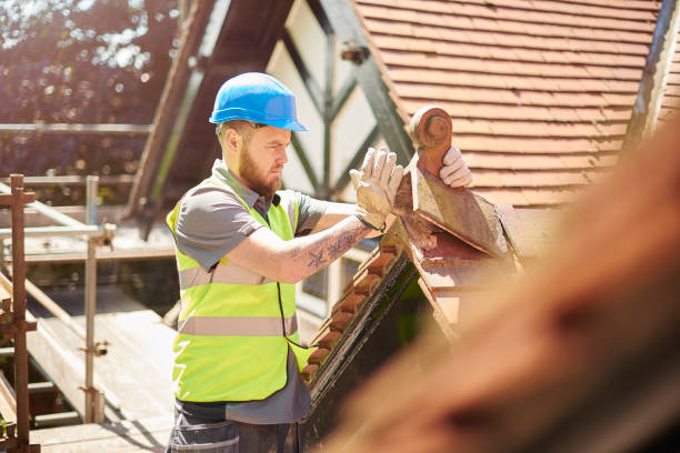 Best Storm Damage Roof Repair  in Flomaton, AL